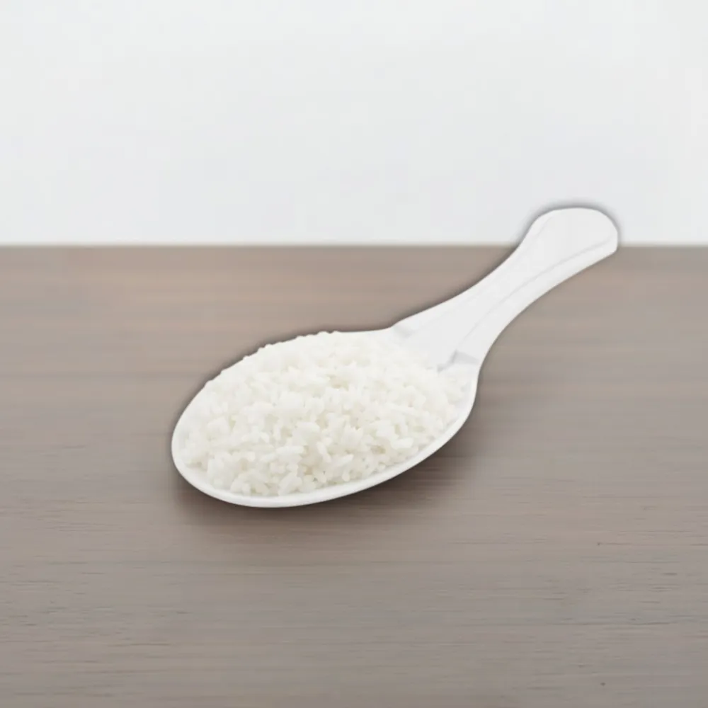 SS220 Plastic Rice Spoon | Durable & Food-Grade Plastic