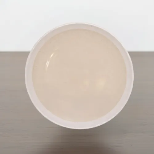 (Emp 401) 12” Dual Melamine Buffet Plate | Glossy Two-Section Design - Image 3