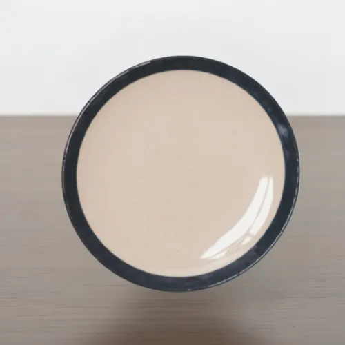 (Emp 401) 12” Dual Melamine Buffet Plate | Glossy Two-Section Design - Image 2